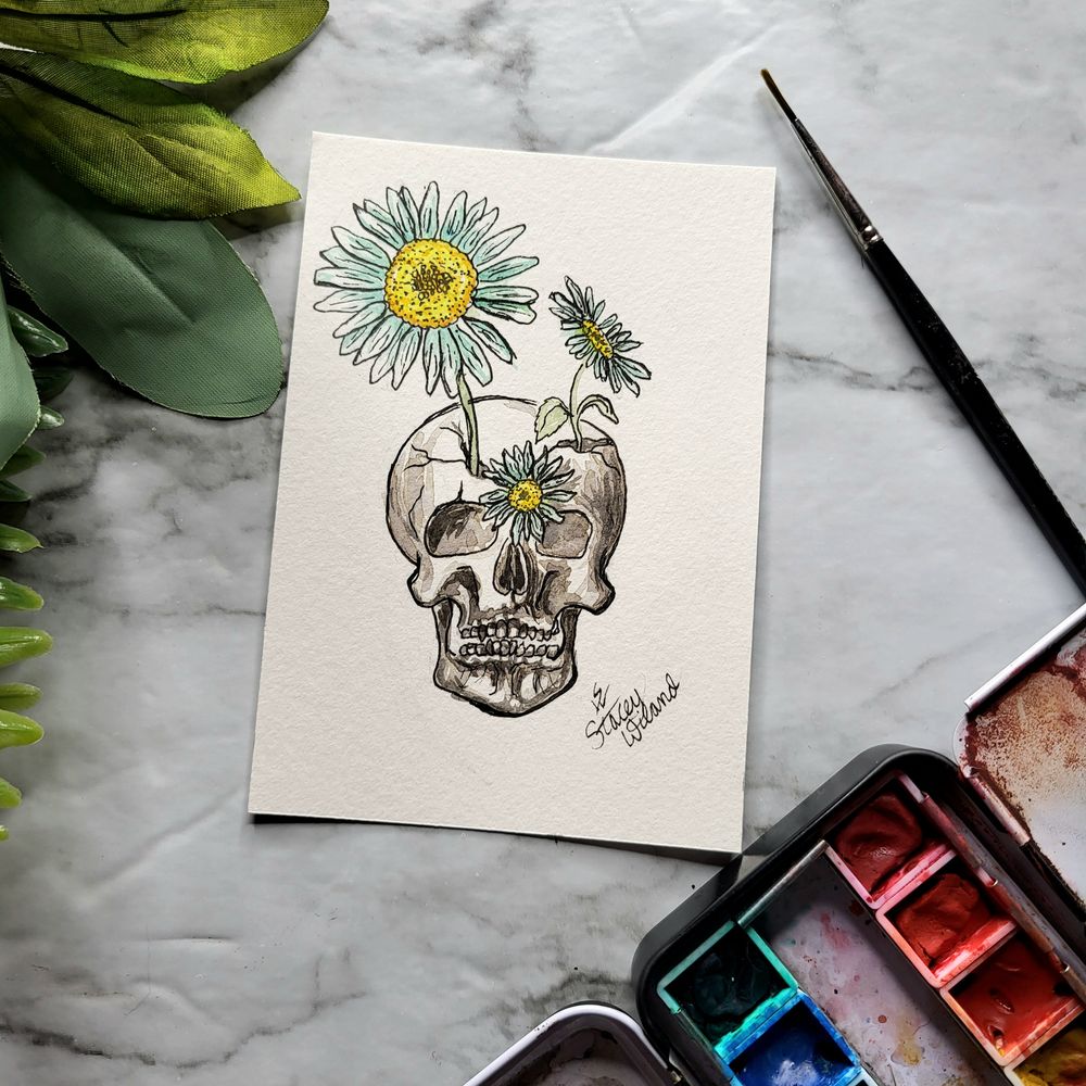 Daisies from the Dead Watercolor Painting